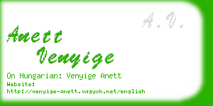 anett venyige business card